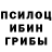 LSD-25 экстази ecstasy William Burkett