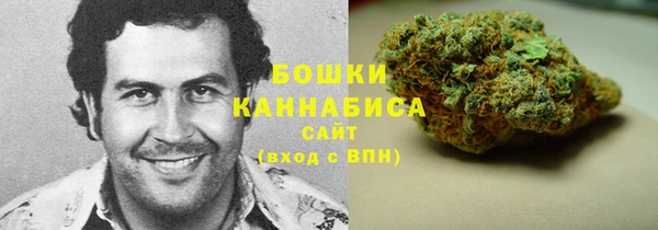 гидра Киреевск